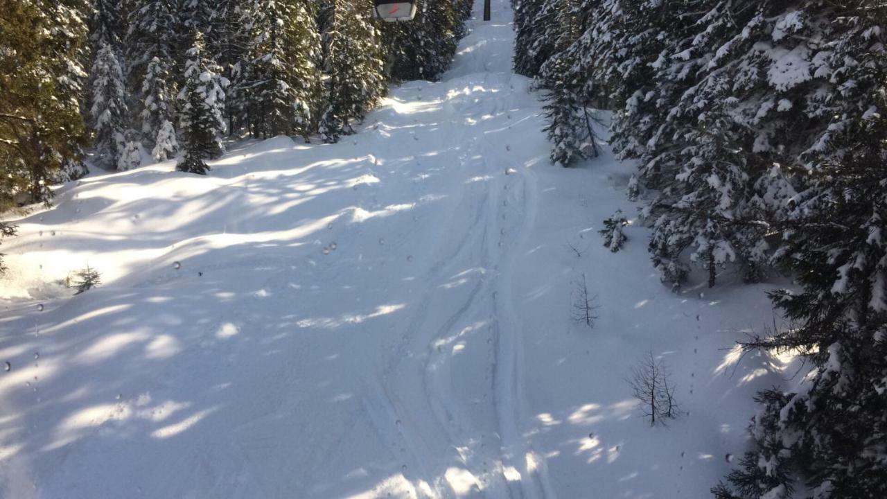 Kofelhof Villa Sexten Exteriör bild