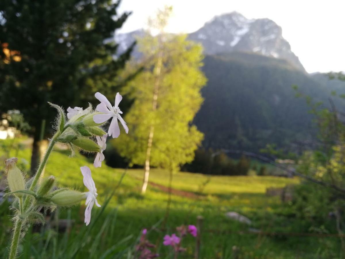 Kofelhof Villa Sexten Exteriör bild